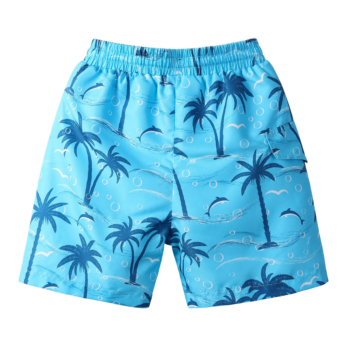 Boys' Aqua Swim Trunks