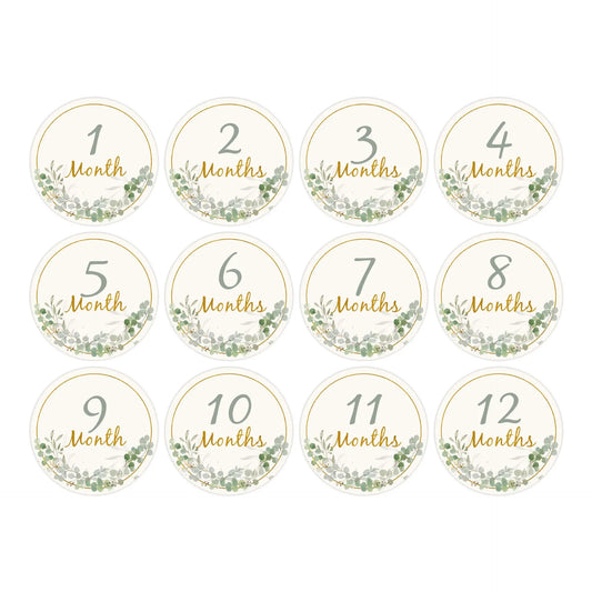 12PCS Baby Milestone Props