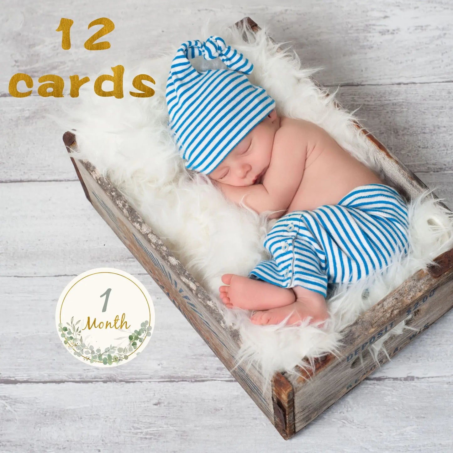 12PCS Baby Milestone Props